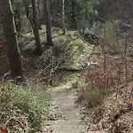 Mit Pool By Interhome Bad Schmiedeberg