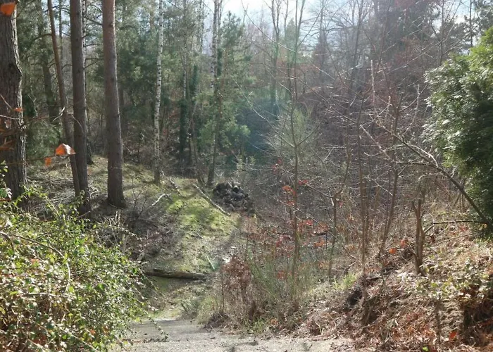 Mit Pool By Interhome Lägenhet *