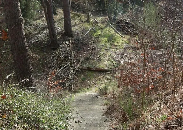 Mit Pool By Interhome Bad Schmiedeberg